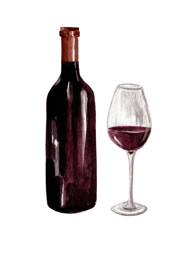 Wine cellar | aalta botica